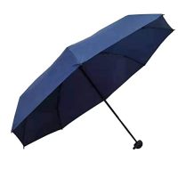 CAPROCK UMBRELLA l umbrella with Case l umbrella for kids l umbrella for woman l girls umbrella l umbrella for boys l umbrella for men l capsule umbrella l umbrella big size