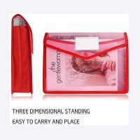 GreatDio® Envelope Folder,Transparent Poly-Plastic A4 Documents File Storage Bag with Snap Button Set of 5Certificate File HolderDocument Folder for Certificates A4LegalBag for Document