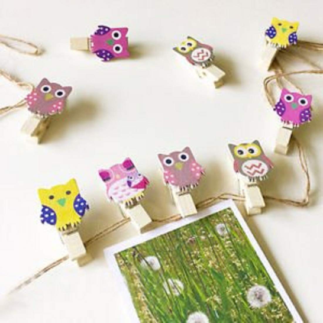 NYRWANA DELIVERING SMILES IN INIDA 10 pcs. Cute Owl Designer Postcard Photo Clips Paper Pegs PinClothespin with Thread for Decoration Supplies Hanging Photos NYRWANA DELIVERING SMILES IN INIDA 10 pcs. Cute Owl Designer Postcard Photo Clips Paper Pegs PinClothespin with Thread for Decoration Supplies Hanging Photos