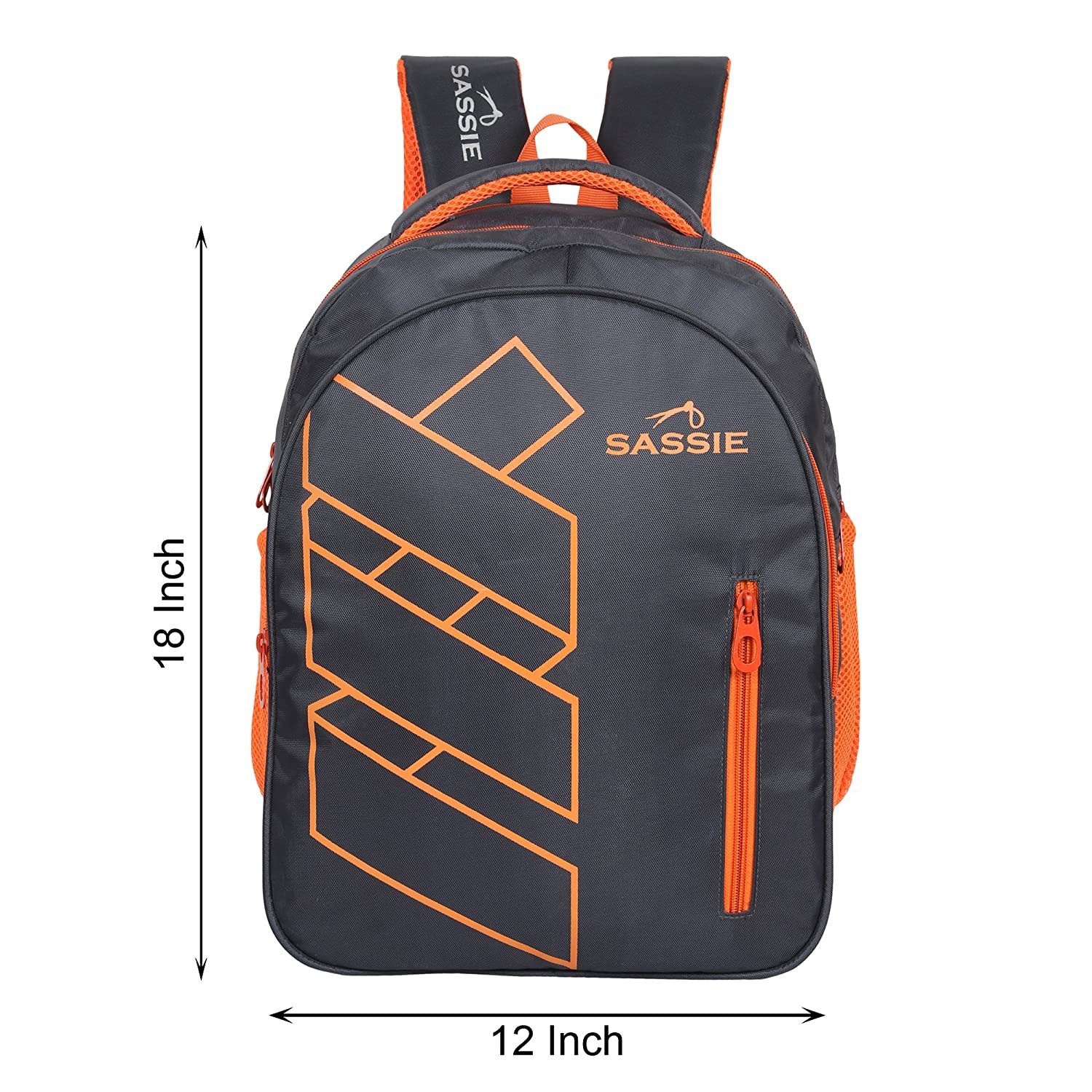 Sassie 41 LTR Grey Bagpack/Laptop Backpack/School Bag Sassie 41 LTR Grey Bagpack/Laptop Backpack/School Bag