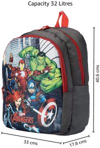 Priority Disney Marvel Avengers Group 32 litres Grey Polyester School Bag for Boys (Rocket 013)
