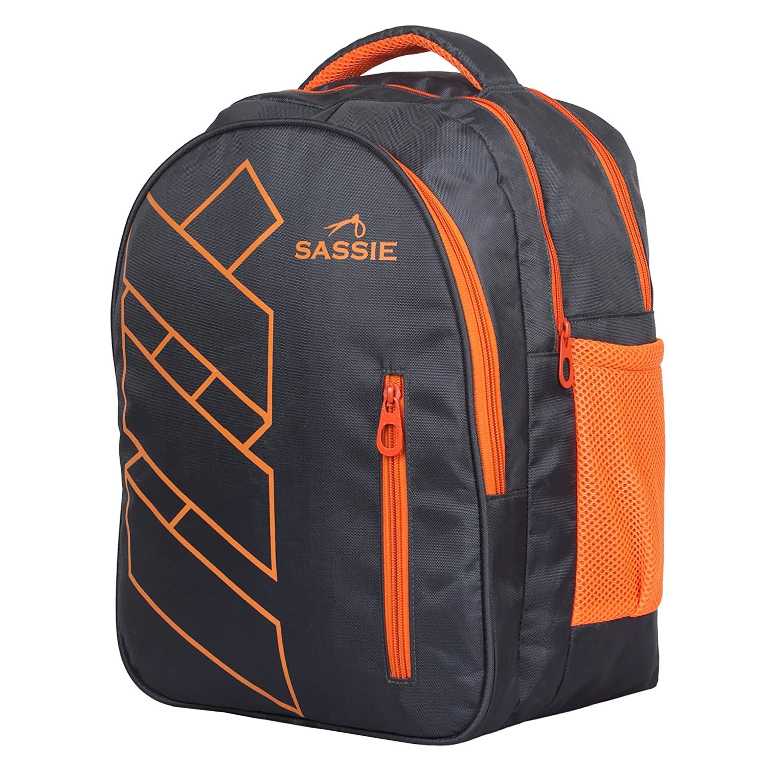 Sassie 41 LTR Grey Bagpack/Laptop Backpack/School Bag Sassie 41 LTR Grey Bagpack/Laptop Backpack/School Bag
