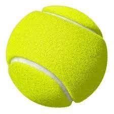 PMG Rohit Sharma Poplar Willow Cricket Bat with Tennis Cricket Ball (1 Bat and 1 Ball) PMG Rohit Sharma Poplar Willow Cricket Bat with Tennis Cricket Ball (1 Bat and 1 Ball)