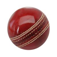 Sports Cricket Leather Ball 6 Piece